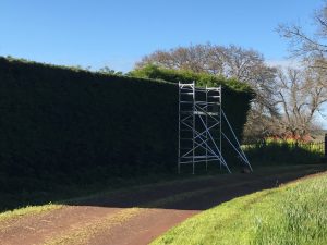 Scaffold for large headge trimming